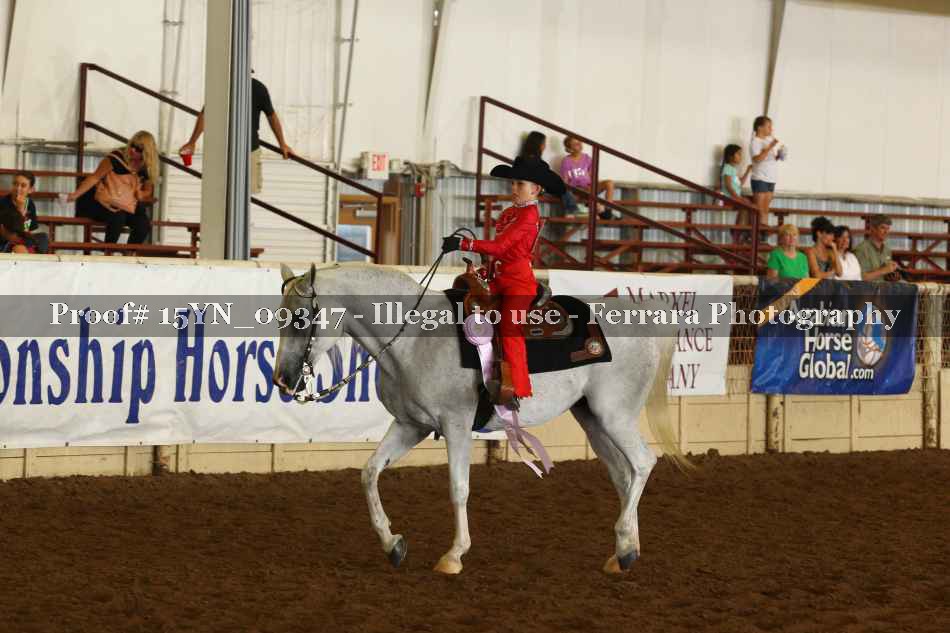 Proof 15YN_09347