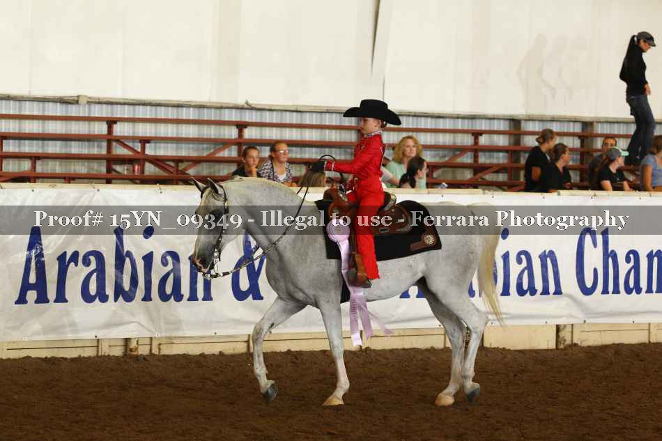 Proof 15YN_09349