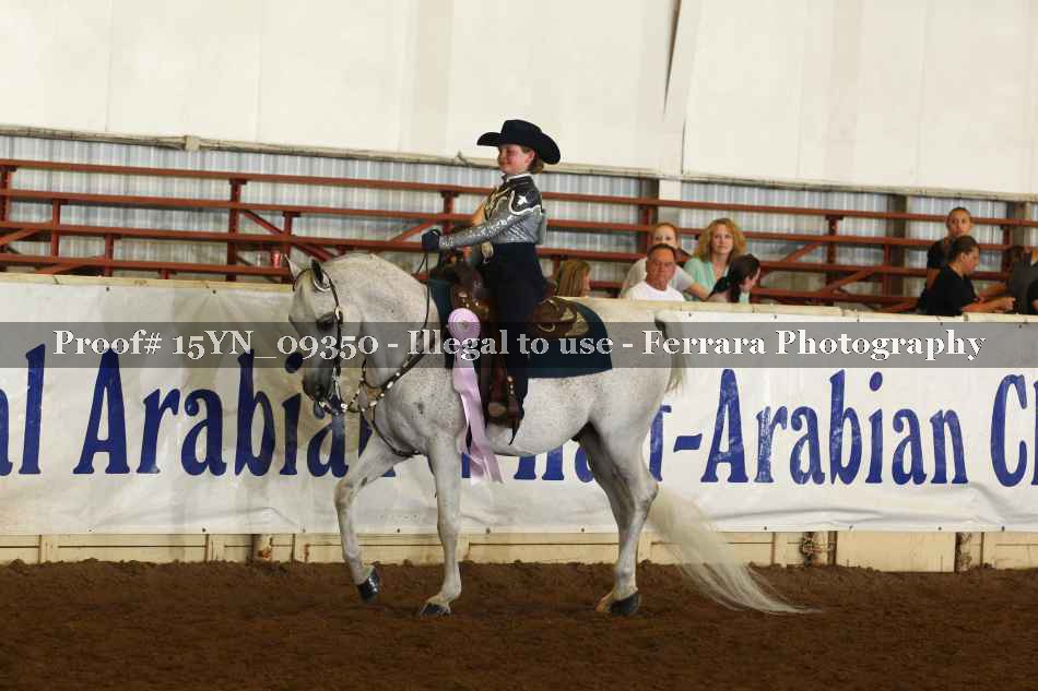 Proof 15YN_09350