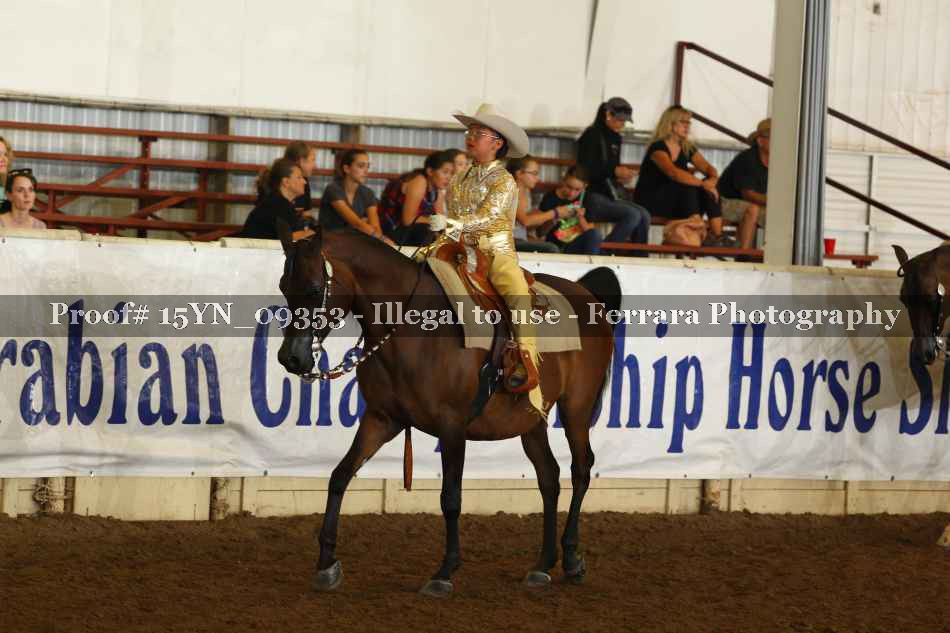 Proof 15YN_09353