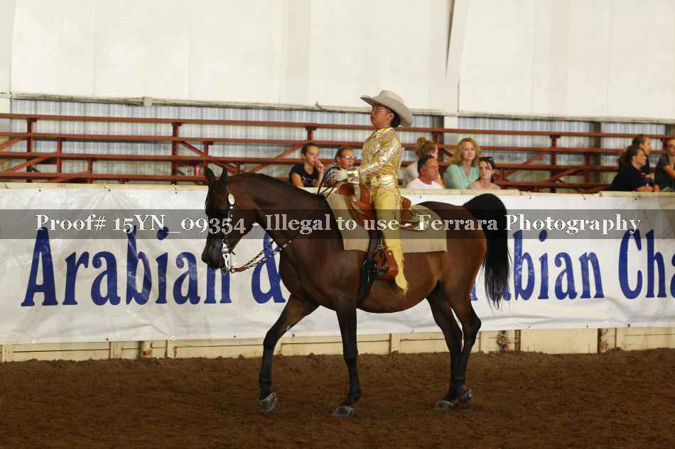 Proof 15YN_09354