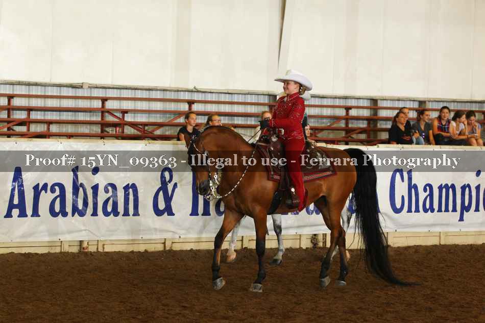 Proof 15YN_09363