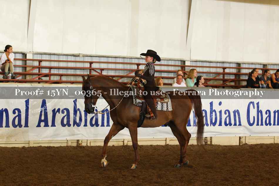 Proof 15YN_09365