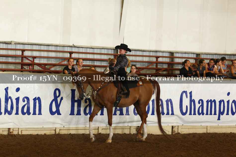 Proof 15YN_09369