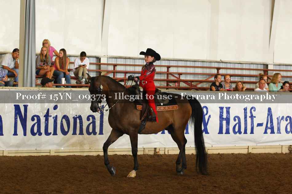 Proof 15YN_09373