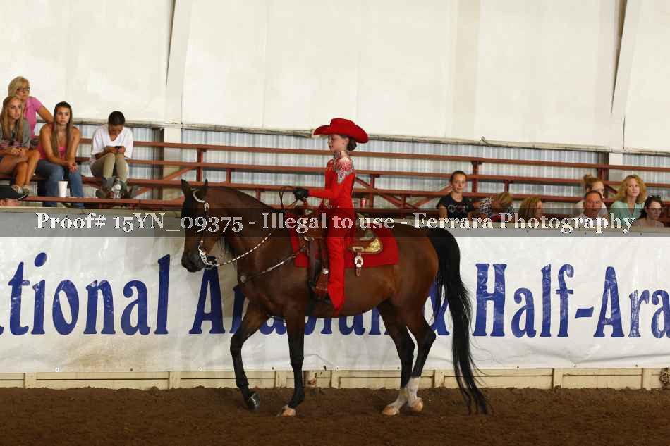 Proof 15YN_09375