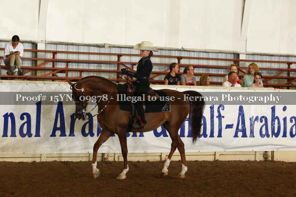Proof 15YN_09378