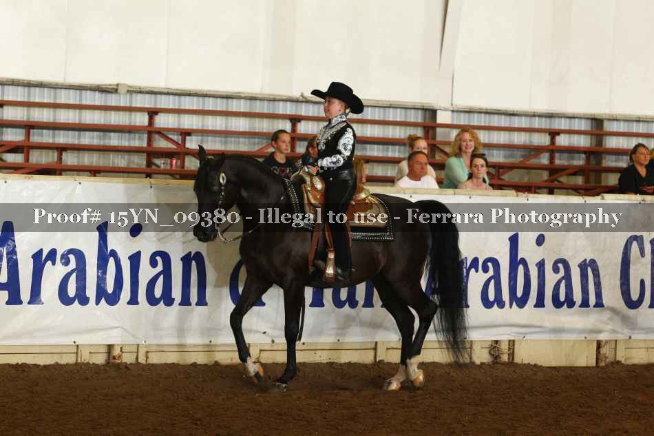Proof 15YN_09380