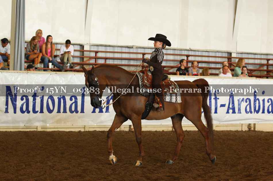 Proof 15YN_09383