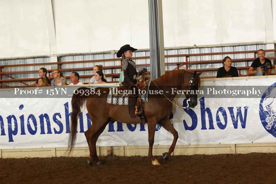 Proof 15YN_09384