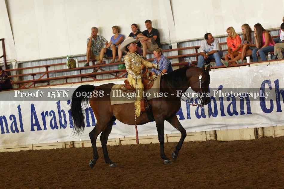 Proof 15YN_09388
