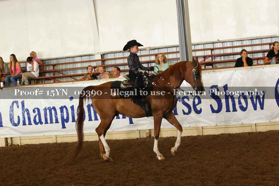 Proof 15YN_09390