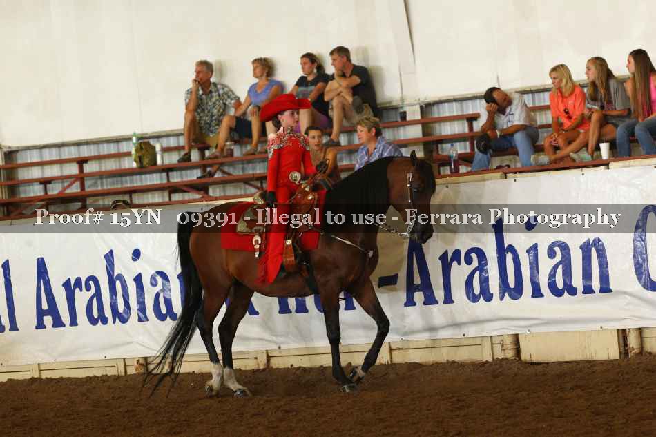 Proof 15YN_09391