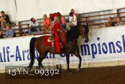 15YN_09392 proof