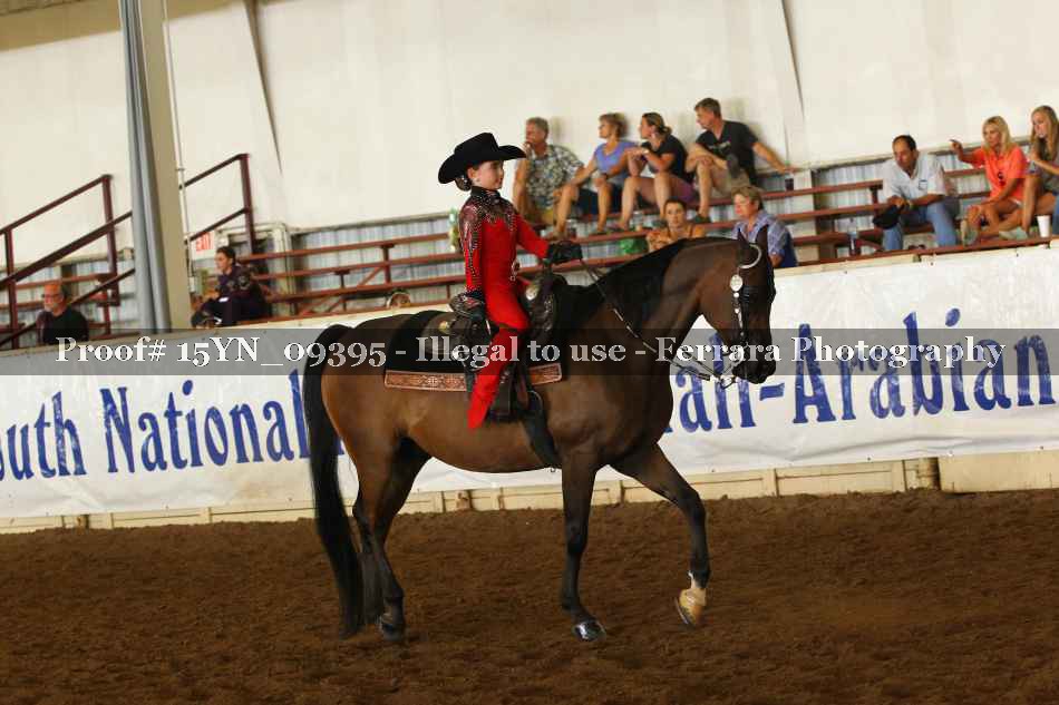 Proof 15YN_09395