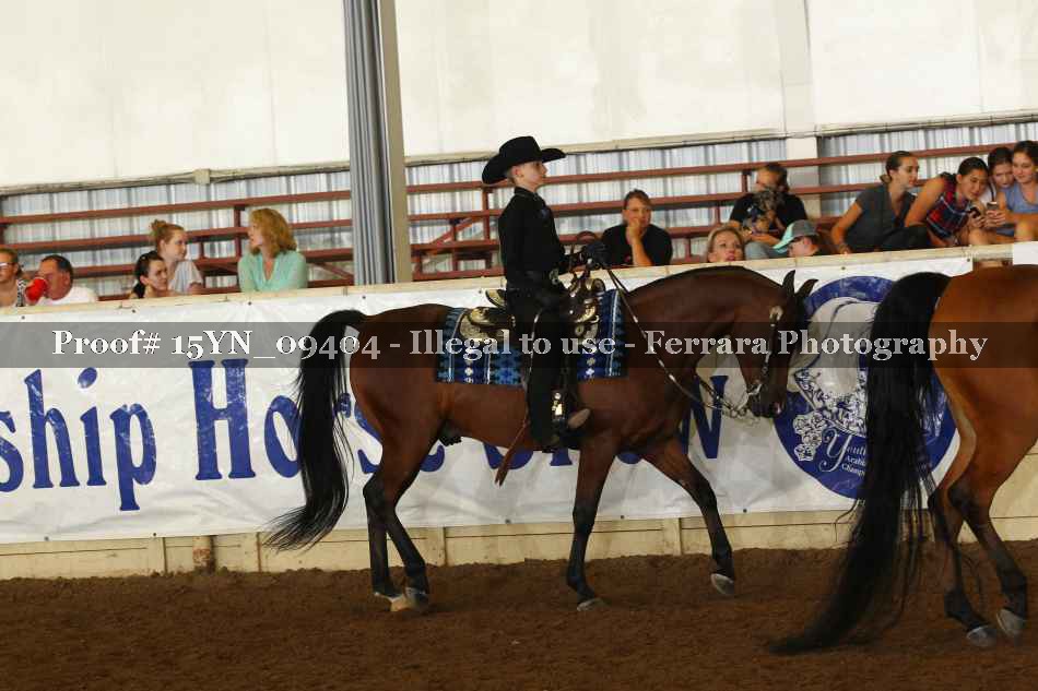 Proof 15YN_09404