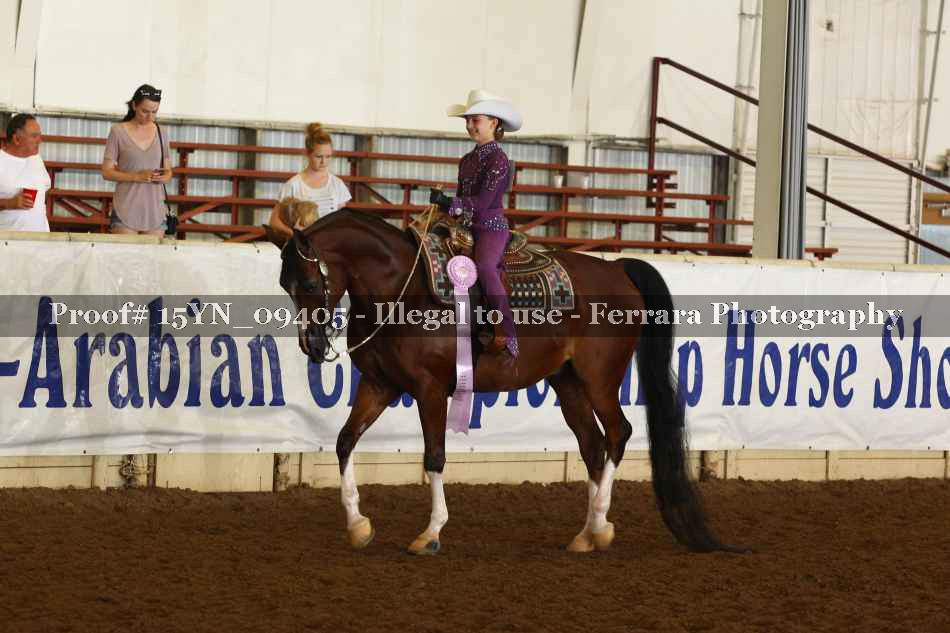Proof 15YN_09405