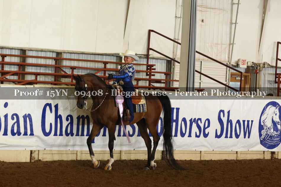 Proof 15YN_09408