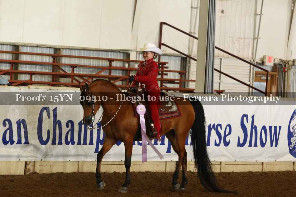 Proof 15YN_09410