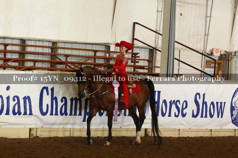 Proof 15YN_09412