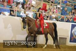 15YN_26430 proof