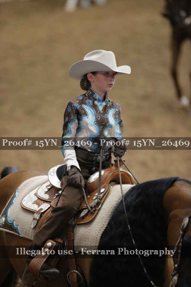 Proof 15YN_26469