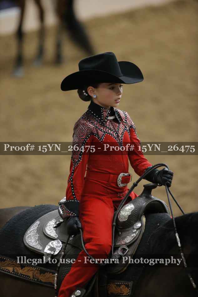 Proof 15YN_26475