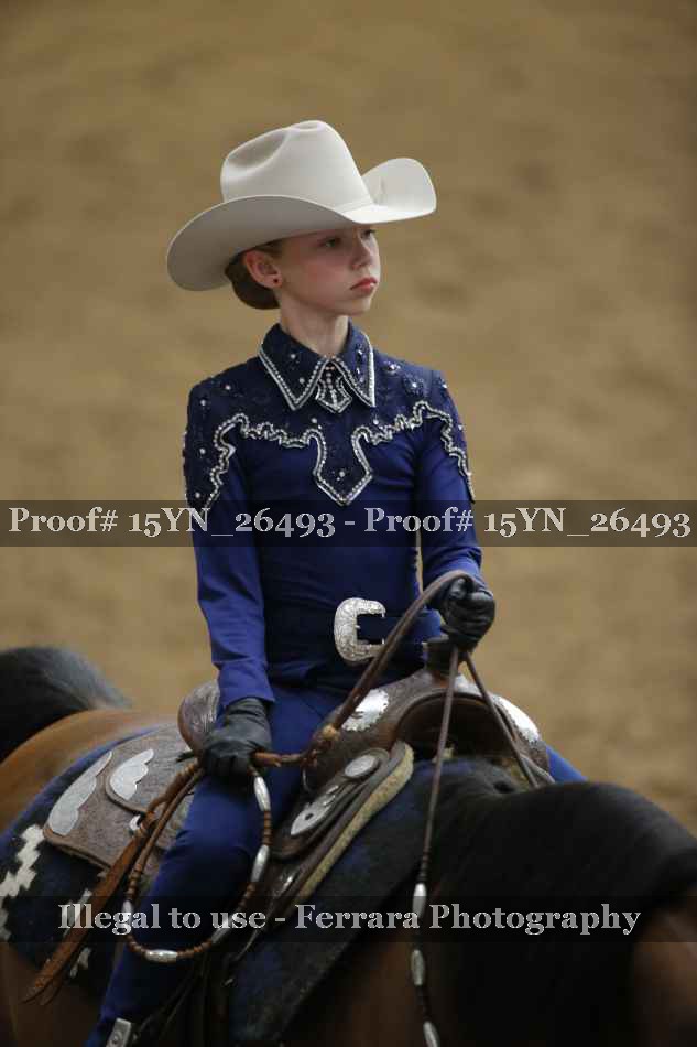 Proof 15YN_26493