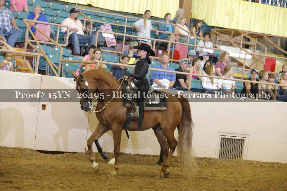 Proof 15YN_26495