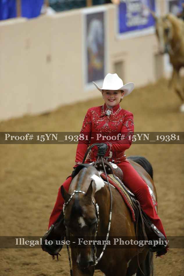 Proof 15YN_19381
