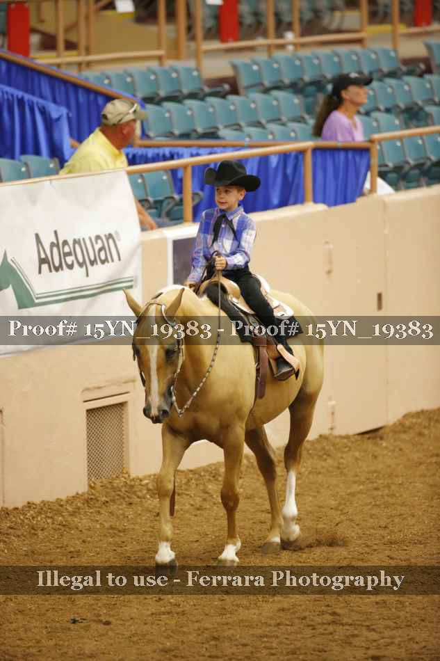 Proof 15YN_19383