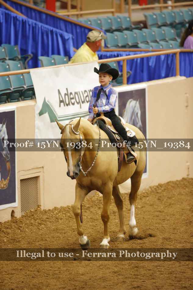 Proof 15YN_19384