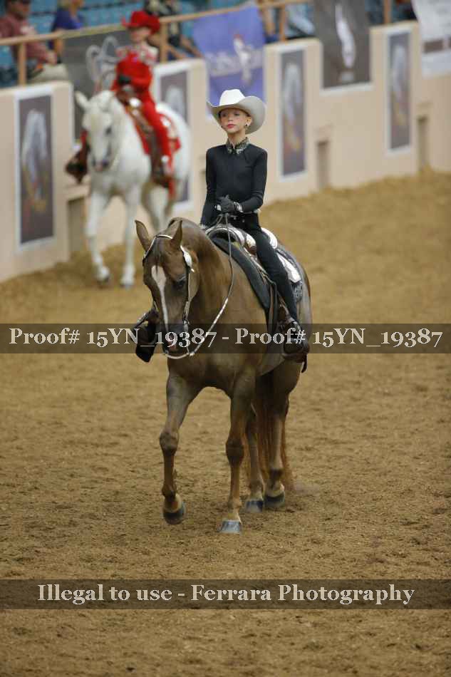 Proof 15YN_19387