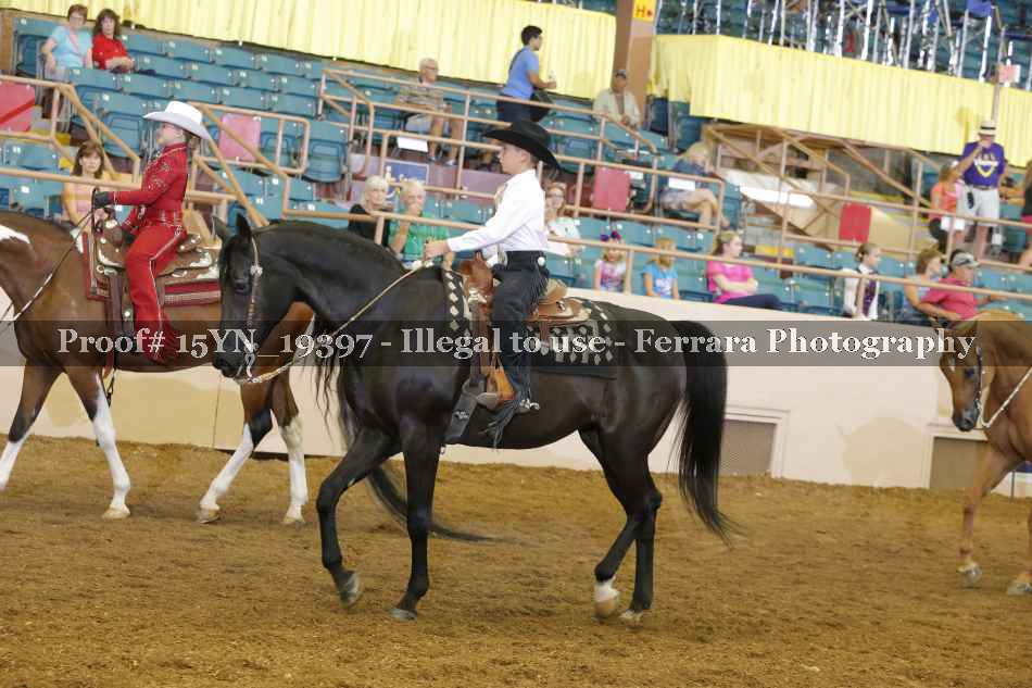 Proof 15YN_19397