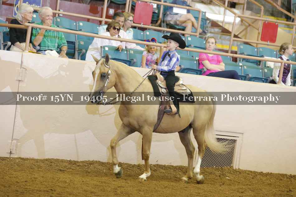 Proof 15YN_19405
