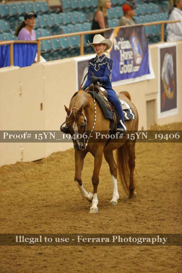 Proof 15YN_19406