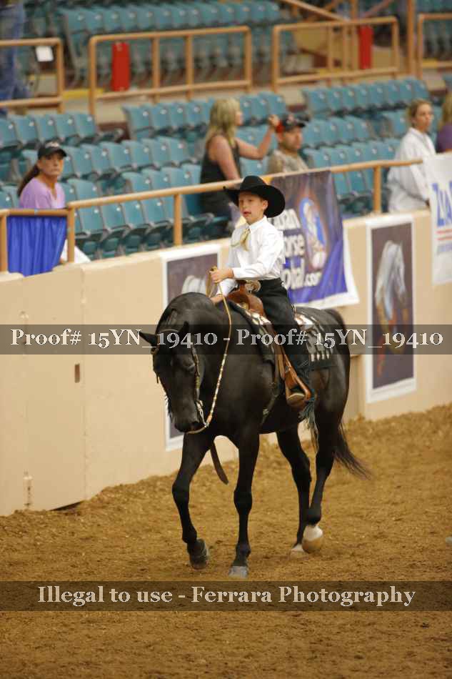 Proof 15YN_19410