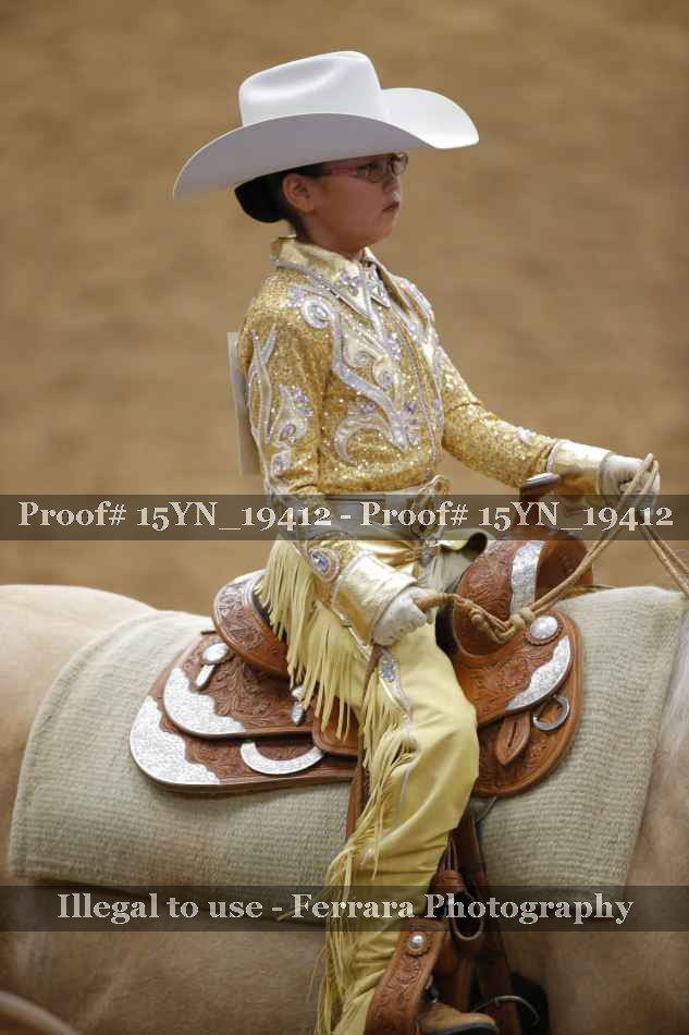 Proof 15YN_19412