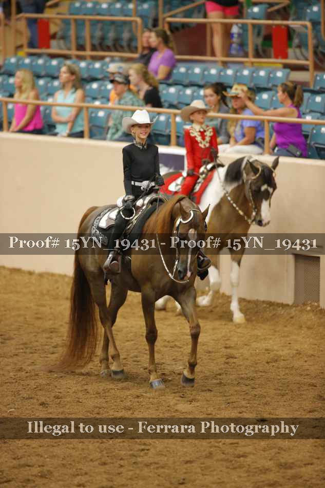 Proof 15YN_19431
