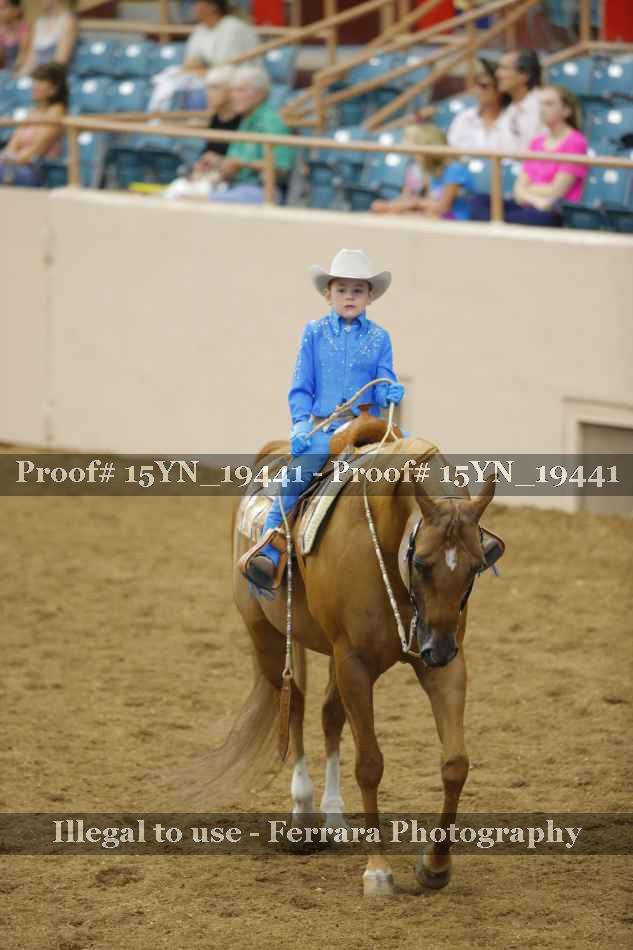 Proof 15YN_19441