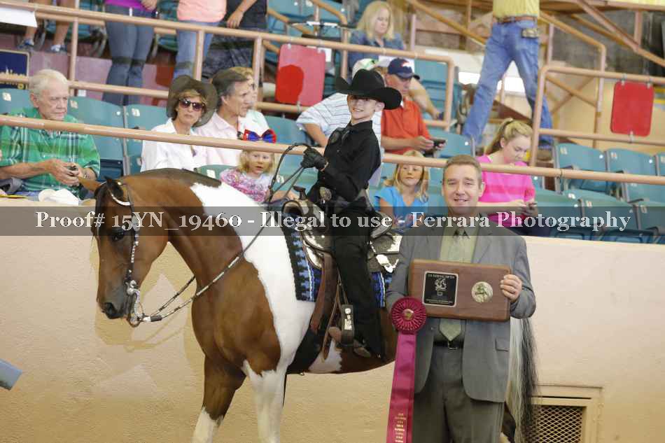 Proof 15YN_19460