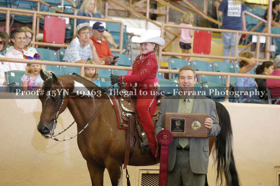 Proof 15YN_19463