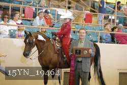 15YN_19464 proof