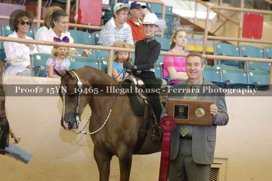 Proof 15YN_19465
