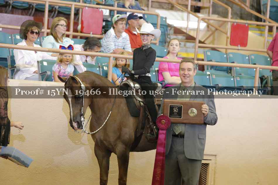 Proof 15YN_19466