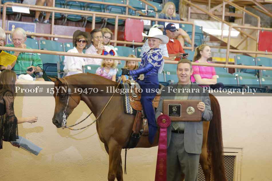 Proof 15YN_19470