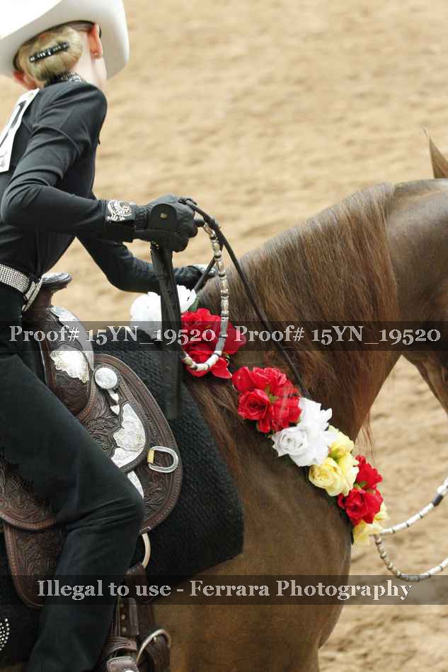 Proof 15YN_19520