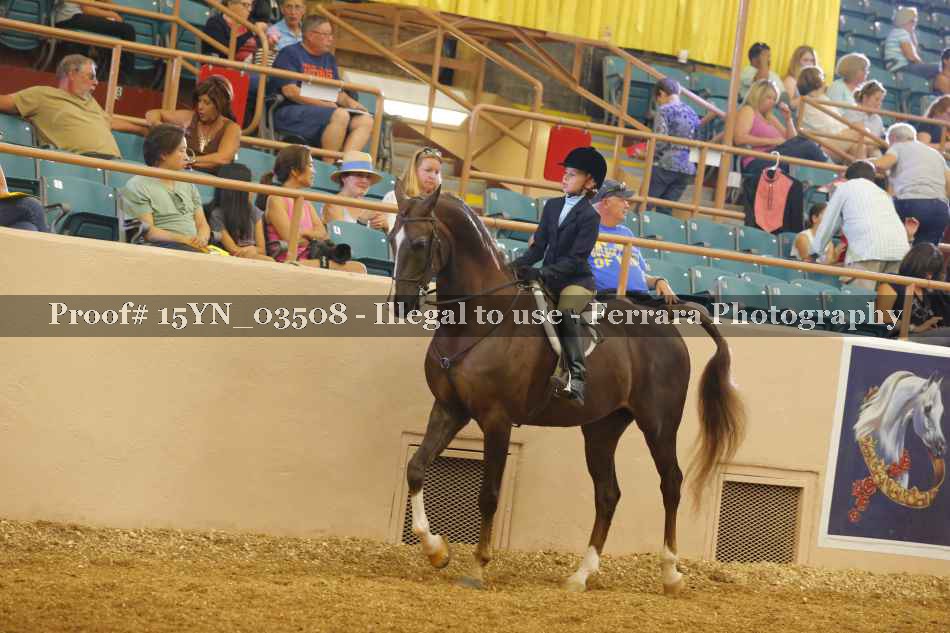 Proof 15YN_03508