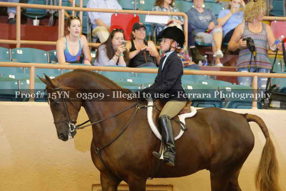 Proof 15YN_03509