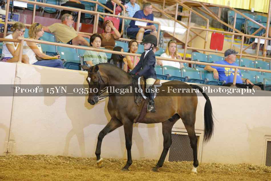 Proof 15YN_03510